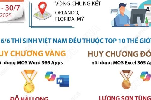 Cuộc thi Tin học văn phòng thế giới: Đội tuyển Việt Nam giành huy chương Vàng