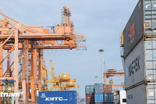 5 năm thực thi EVFTA: Doanh nghiệp thích ứng các tiêu chuẩn cao để xuất khẩu