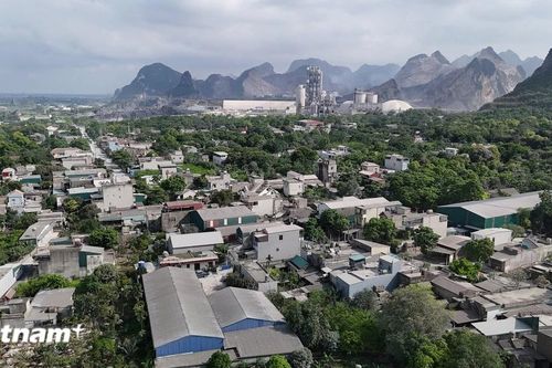 Các tổ chức bảo tồn kiến nghị tới Thủ tướng sau phản ánh của Báo Điện tử VietnamPlus