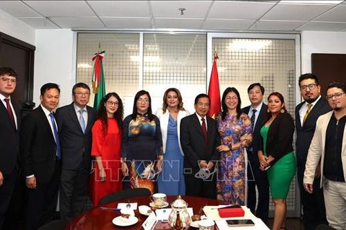 Việt Nam tiếp tục củng cố tình hữu nghị với các chính đảng cánh tả ở Mỹ Latinh