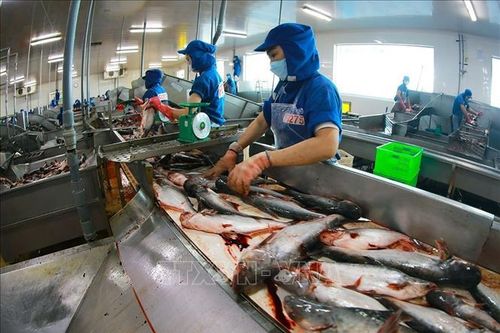 Kích hoạt các động lực phát triển để kinh tế tăng trưởng vượt 8%