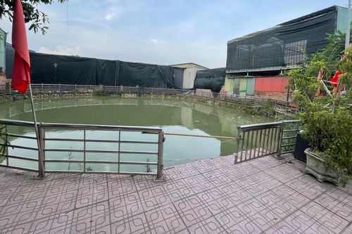 Vụ 2 anh em Hà Nội tử vong ở giếng làng: Người trực tiếp bế 2 bé lên bờ kể lại phút thương tâm