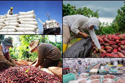 Thủy sản, gạo, cà phê: Những 'ông lớn' xuất khẩu gặp khó từ chính sách thuế VAT