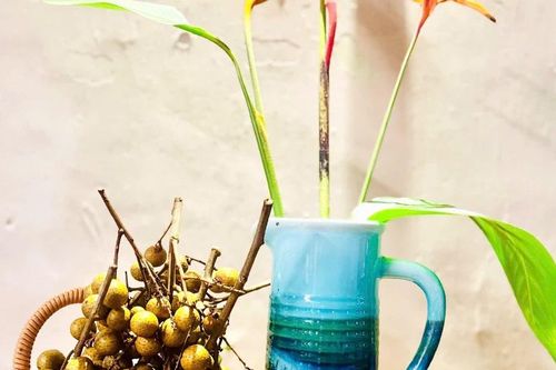 Thương hoài mùa nhãn