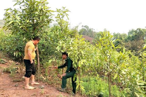 Nhịp sống mới ở Mù Cả