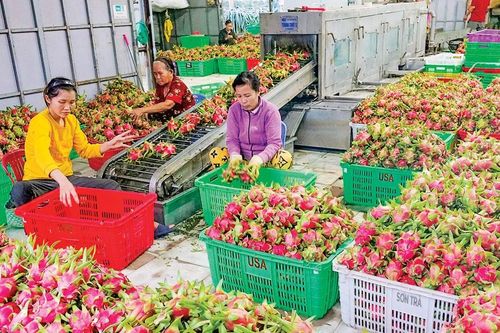 Quan tâm xây dựng khối đoàn kết, thống nhất trong toàn Đảng bộ