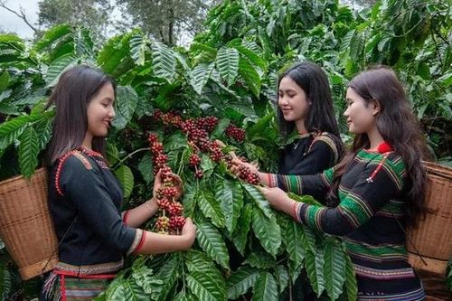 Khai phá tiềm năng phát triển du lịch canh nông