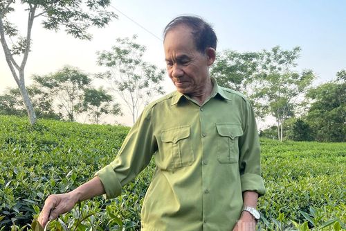 Vượt khó làm giàu