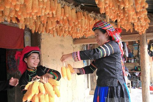 Tinh hoa ẩm thực của đồng bào Mông