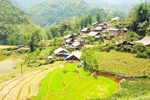 Thao thức vùng đồi