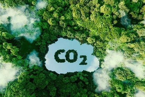 Nghị định về quản lý phát thải và vận hành thị trường carbon có hiệu lực từ 1/8