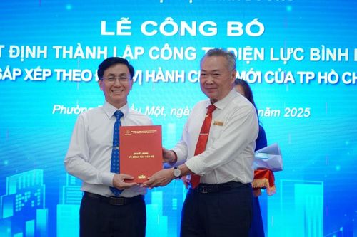 EVNHCMC công bố thành lập 9 công ty điện lực mới