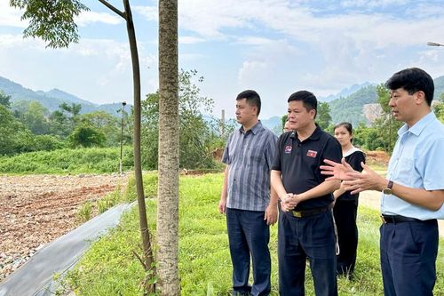 Sở Nông nghiệp và Môi trường: Kiểm tra thực trạng, tình hình hoạt động một số bãi xử lý rác thải