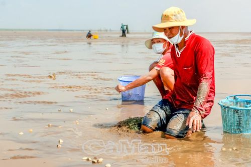 'Mái ấm' của những hộ nghèo sống ven biển
