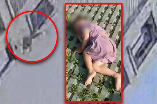 Ngã từ tầng 18, cậu bé 3 tuổi thoát chết kỳ diệu nhờ chạm vào cây