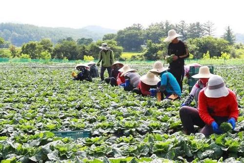 Các quốc gia điều chỉnh chính sách nhập nông sản Mỹ