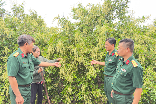 Quân, dân nỗ lực phát triển vùng biên Đắk Lắk
