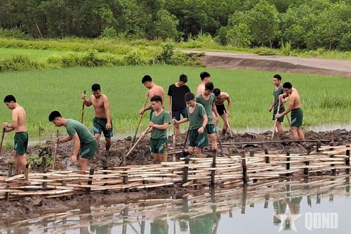 Nghĩa Mai nhớ mãi các anh