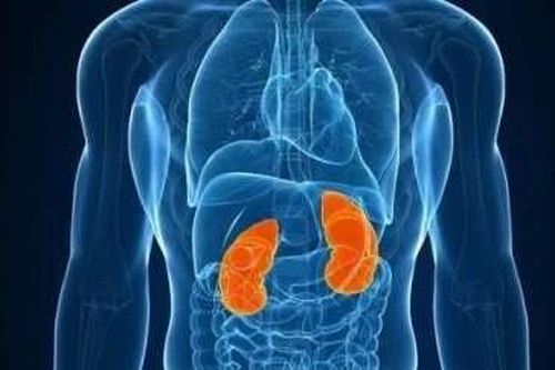 Ung thư thận gia tăng đáng báo động ở người trẻ