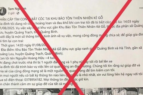 'Bịa' chuyện bắt cóc để lừa đảo chiếm đoạt tiền từ thiện