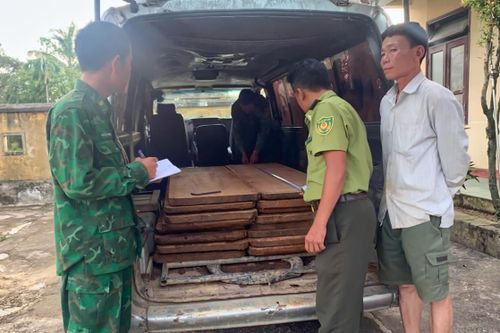 Bắt giữ vụ vận chuyển 16 phách gỗ trái phép