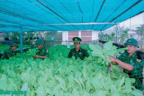 Nâng cao công tác hậu cần, xây dựng đơn vị vững mạnh từ những việc làm thiết thực