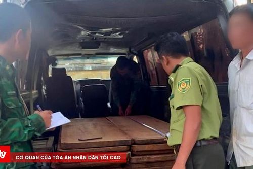 Bắt giữ vụ vận chuyển lâm sản trái phép tại xã A Lưới 3, TP Huế