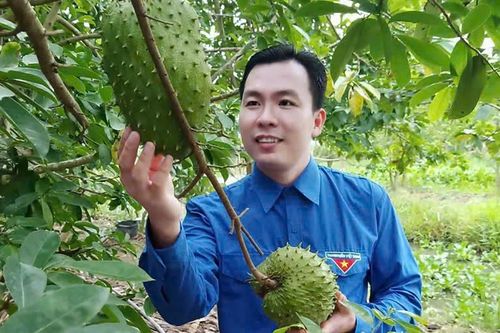 Phó công an xã làm trà từ trái mãng cầu xấu mã, mỗi tháng thu hàng chục triệu