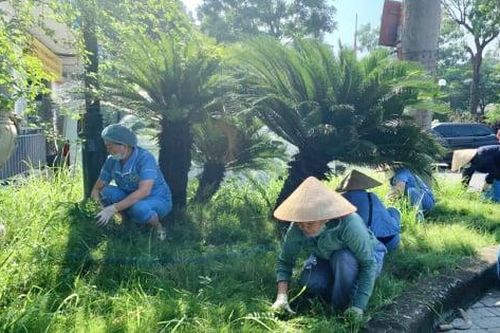 Vì một Thủ đô sạch đẹp: Cán bộ y tế cùng người dân hành động