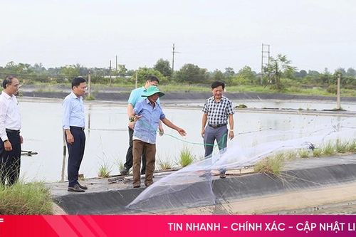 Người nuôi trồng thủy sản chủ động ứng phó mùa mưa bão