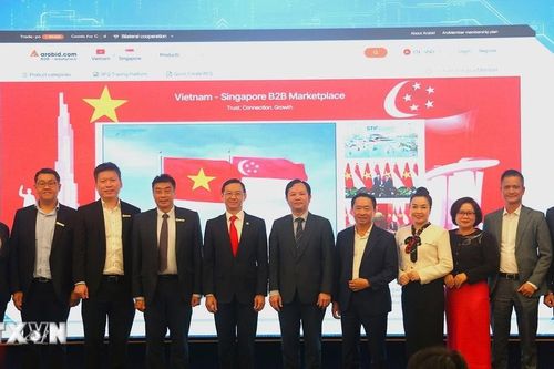 Việt Nam-Singapore ra mắt nền tảng giao dịch thương mại điện tử B2B đầu tiên