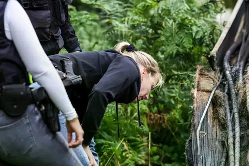 Đức: Lại xảy ra vụ phóng hỏa trên tuyến đường sắt ở thành phố Düsseldorf