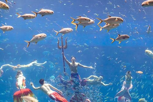 Trải nghiệm độc nhất tại Phú Quốc trong dịp hè