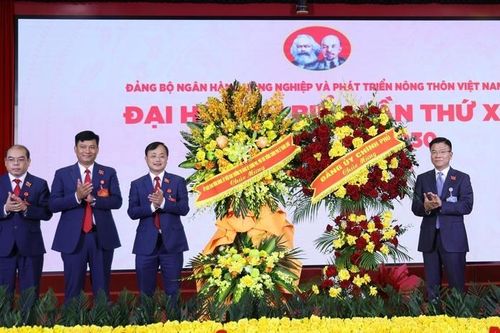 Tổng tài sản Agribank tăng 9,0% mỗi năm