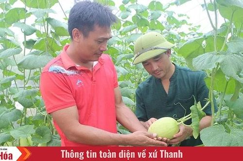 Làm giàu từ sản xuất nông nghiệp công nghệ cao