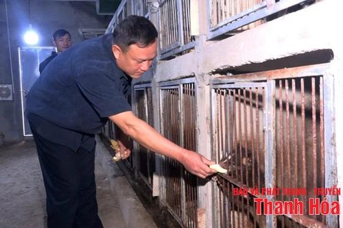 Hướng xóa đói giảm nghèo mới ở xã biên giới Yên Khương