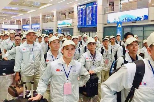 Tăng cơ hội cho lao động chuyên môn kỹ thuật sang Hàn Quốc làm việc