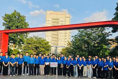 Tỉnh Đoàn Gia Lai xuất quân các đội thanh niên tình nguyện chuyên ngành cấp tỉnh