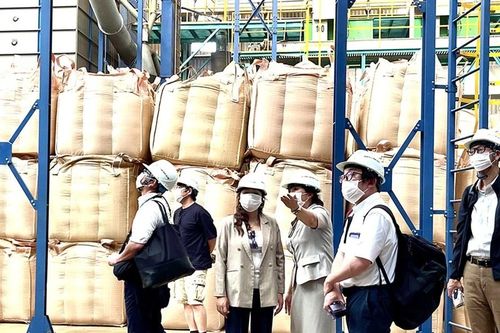 Mở cửa vào thị trường Nhật Bản