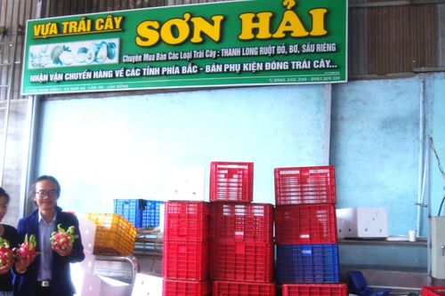 'Tập kết' nông sản biển - rừng - 'chìa khóa' nâng cao giá trị nông sản Lâm Đồng:Bài 3: Hợp nhất thanh long từ biển xanh lên đại ngàn