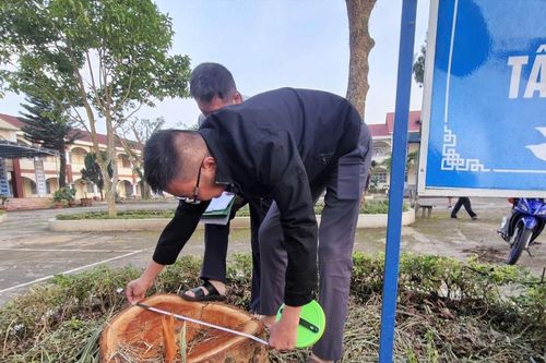 Lâm Đồng: 3 cây xanh che bóng tại trung tâm giáo dục nghề nghiệp bất ngờ bị đốn hạ