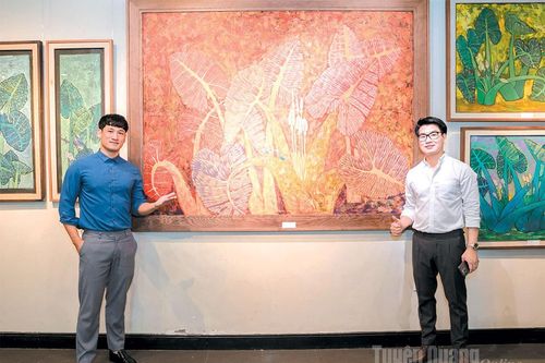 Vẻ đẹp từ những chiếc lông công