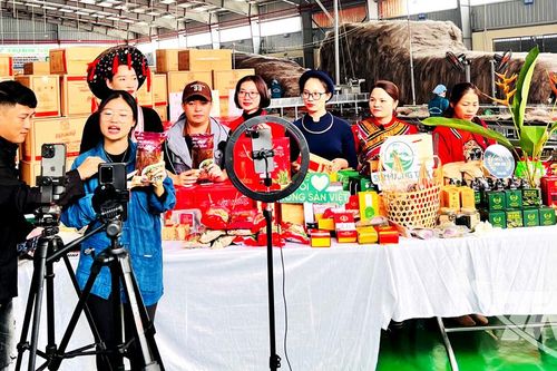 Điểm hẹn nông sản vùng Việt Bắc