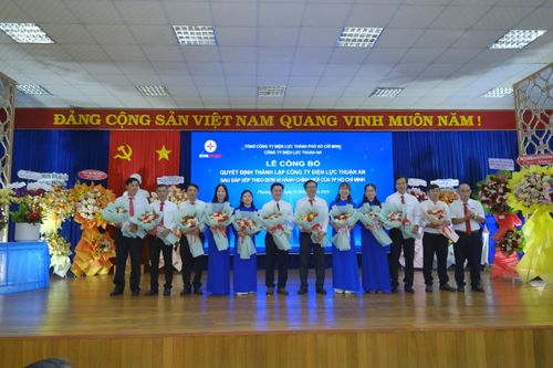 EVNHCMC công bố thành lập 9 công ty điện lực mới