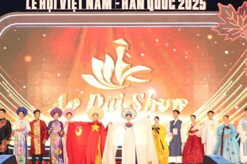 Khai mạc Lễ hội Việt Nam – Hàn Quốc TP Đà Nẵng năm 2025