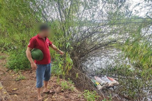 Chủ tịch Hà Nội yêu cầu xử lý nghiêm việc vứt xác lợn chết ra môi trường
