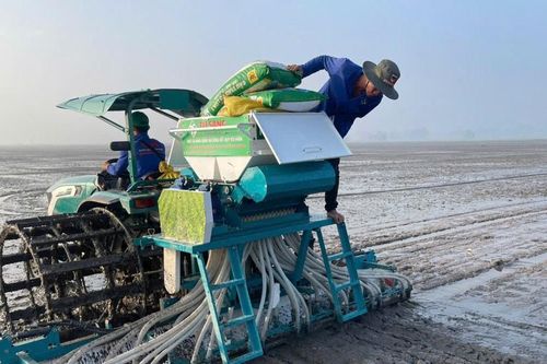 Lợi ích của phân bón Đầu Trâu Bio – Canxi trong cải tạo đất