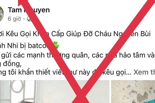 Công an Hà Tĩnh cảnh báo thủ đoạn đưa tin giả bắt cóc trẻ em kêu gọi từ thiện để chiếm đoạt tài sản