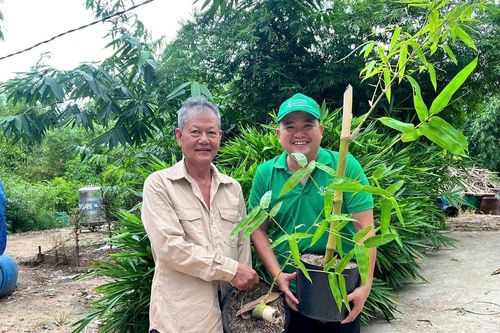 Khơi dậy tiềm năng tre Việt, lan tỏa sáng kiến 'Lũy Tre Làng'