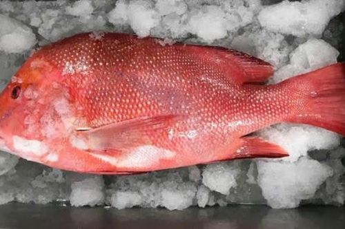 Sau bữa ăn hải sản, 8 người trong hai gia đình phải cấp cứu